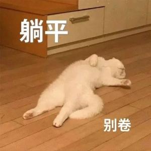 《红茶测评室》第六期－对子哈特频频翻车之谜，究竟偶然还是必然