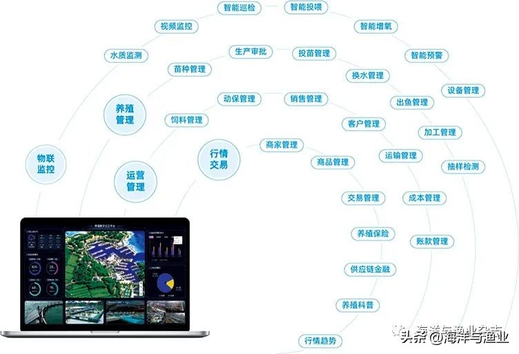 渔业水产新发展,渔业发展新思路