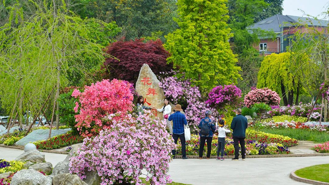 花卡特惠,新春钜惠不容错过