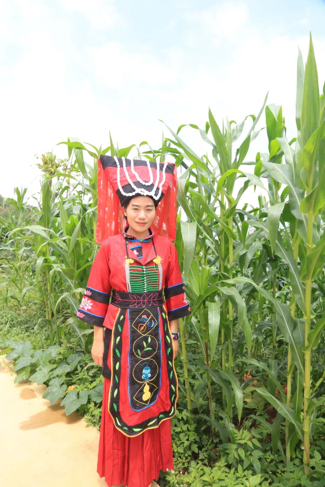 保山施甸布朗族服饰走向法国,保山施甸布朗族服饰图案介绍