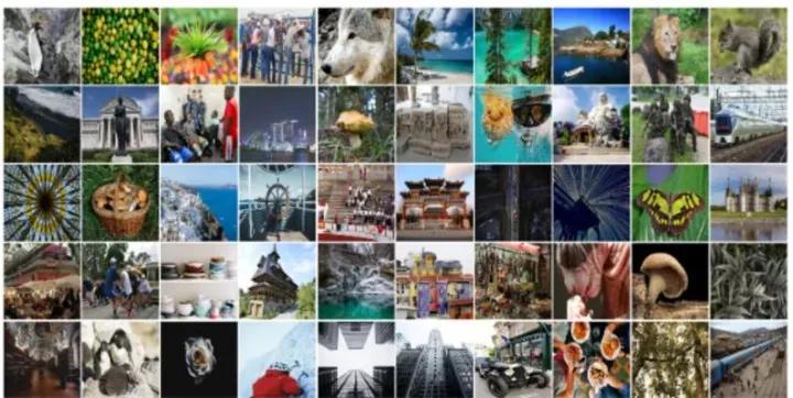 医学影像目标检测框架,开源数据集目标检测