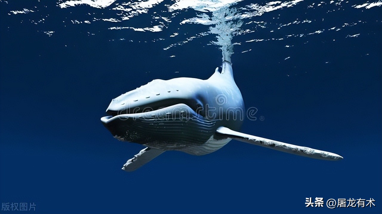 穷人与富人的区别短语,穷人和富人分别代表什么