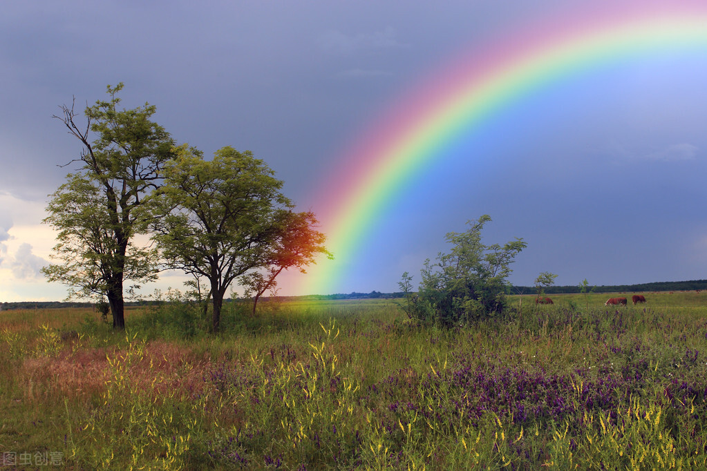 风雨过后是彩虹励志句子,风雨过后是彩虹带字图片早安