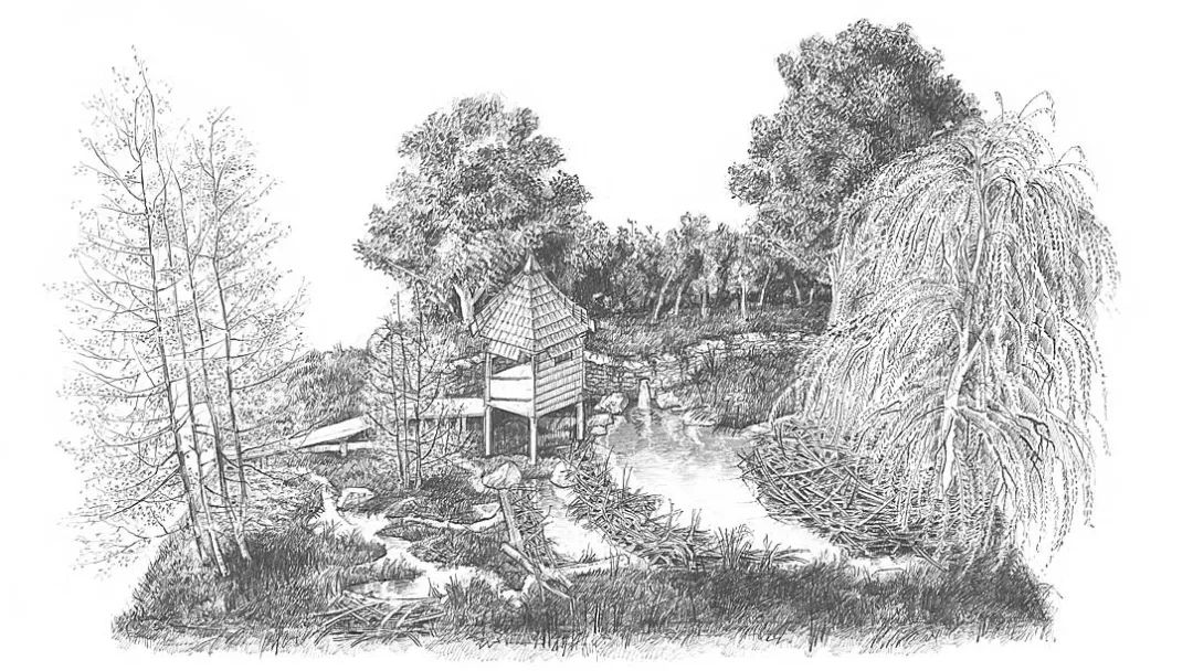 英国切尔西花展官网,切尔西花展正式对公众开放