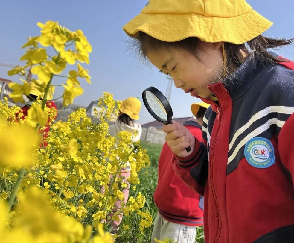 潮信幼儿园招生,如东县掘港幼儿园招生政策