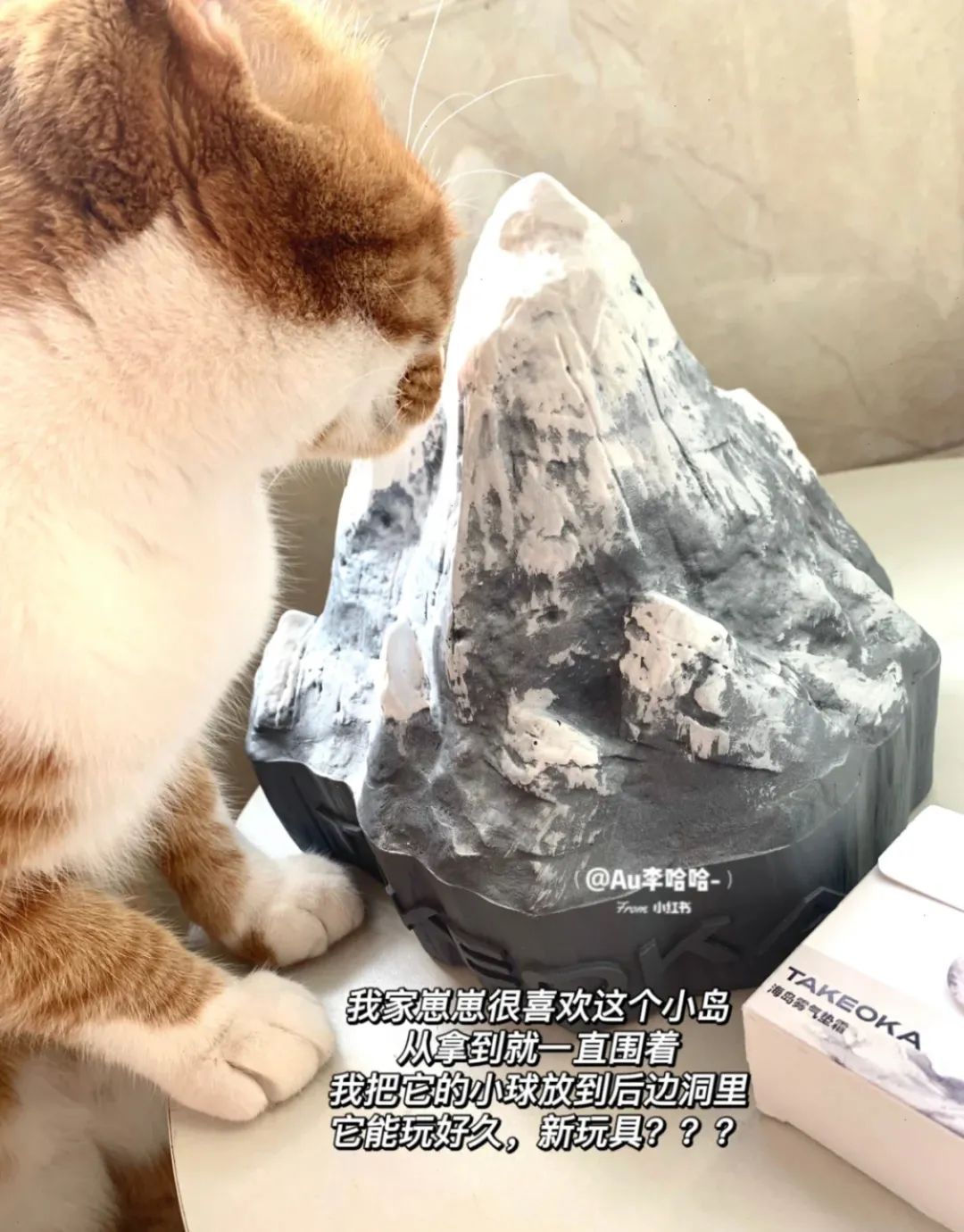 化妆品送气垫,冰岛气垫