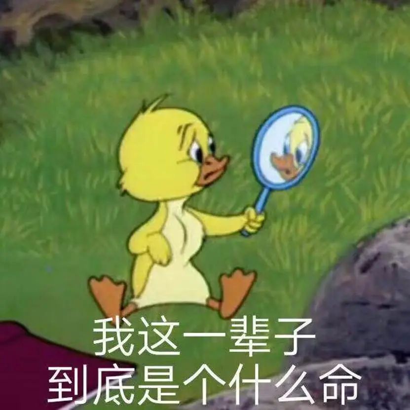 开幼儿园赔钱怎么经营,开幼儿园的十大忠告
