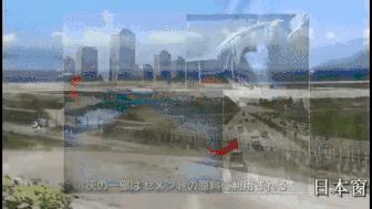 日本人为何自觉分类垃圾,为什么日本的垃圾分类做得这么好