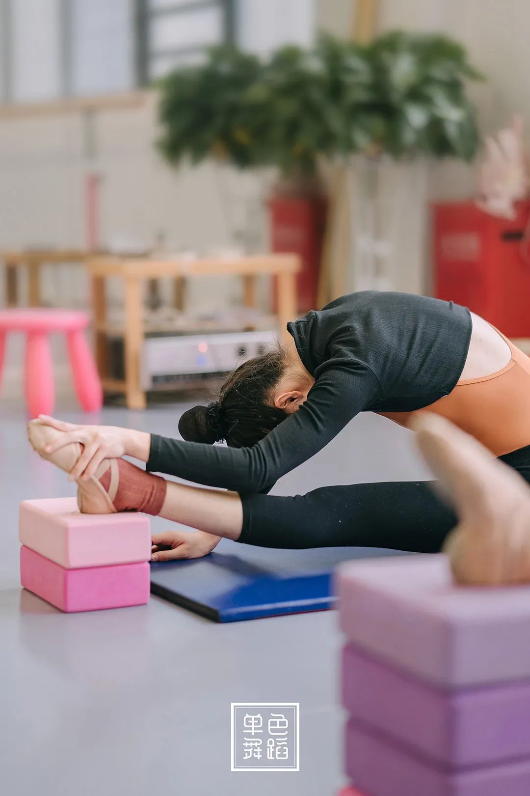 每日一练零基础学舞,最初开始学舞的基本动作