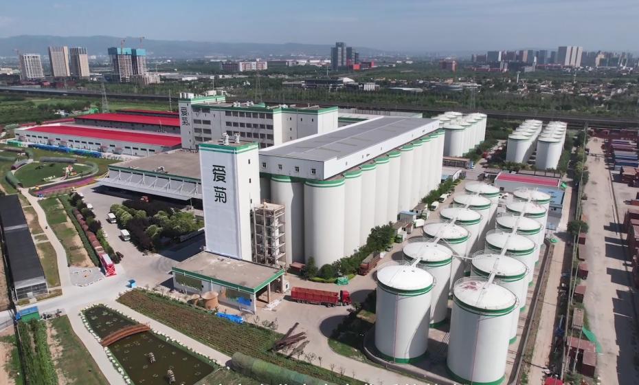 爱菊在“一带一路”绚丽绽放