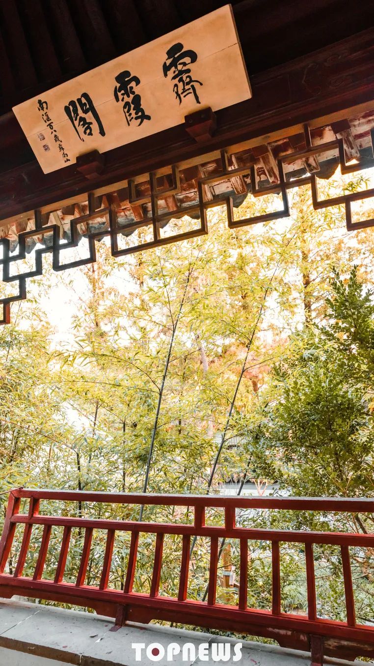 实用全上海532家公园攻略速速收藏,上海攻略必去的公园