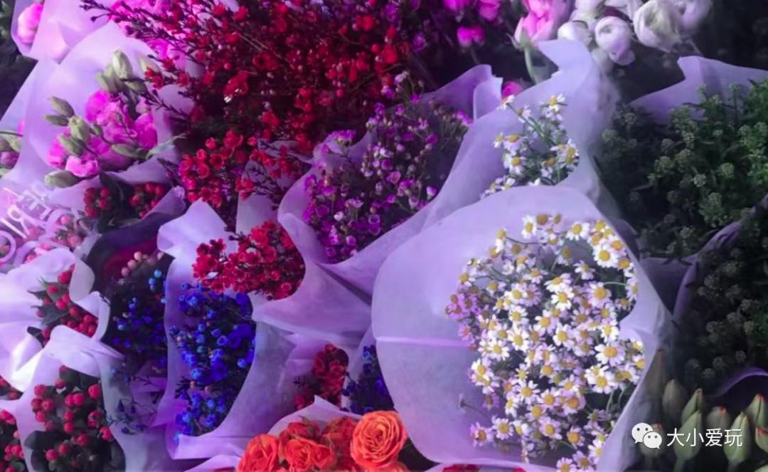 北京最美的花鸟市场,北京值得逛的花鸟市场