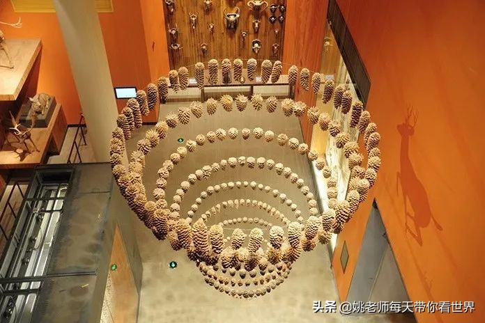 春节上海亲子游乐攻略,上海亲子游乐去哪里