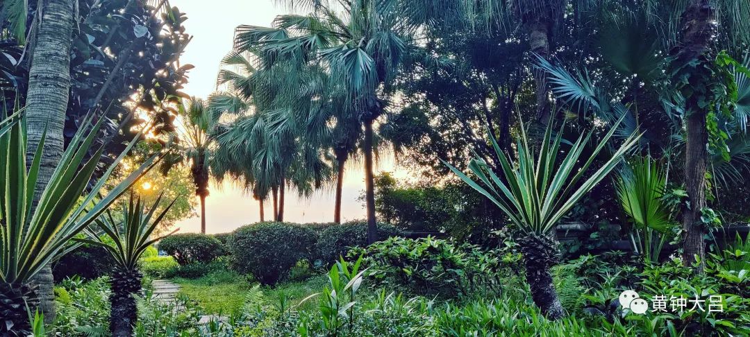 为了孩子教育就开始选学区房,到底该不该为了孩子买学区房