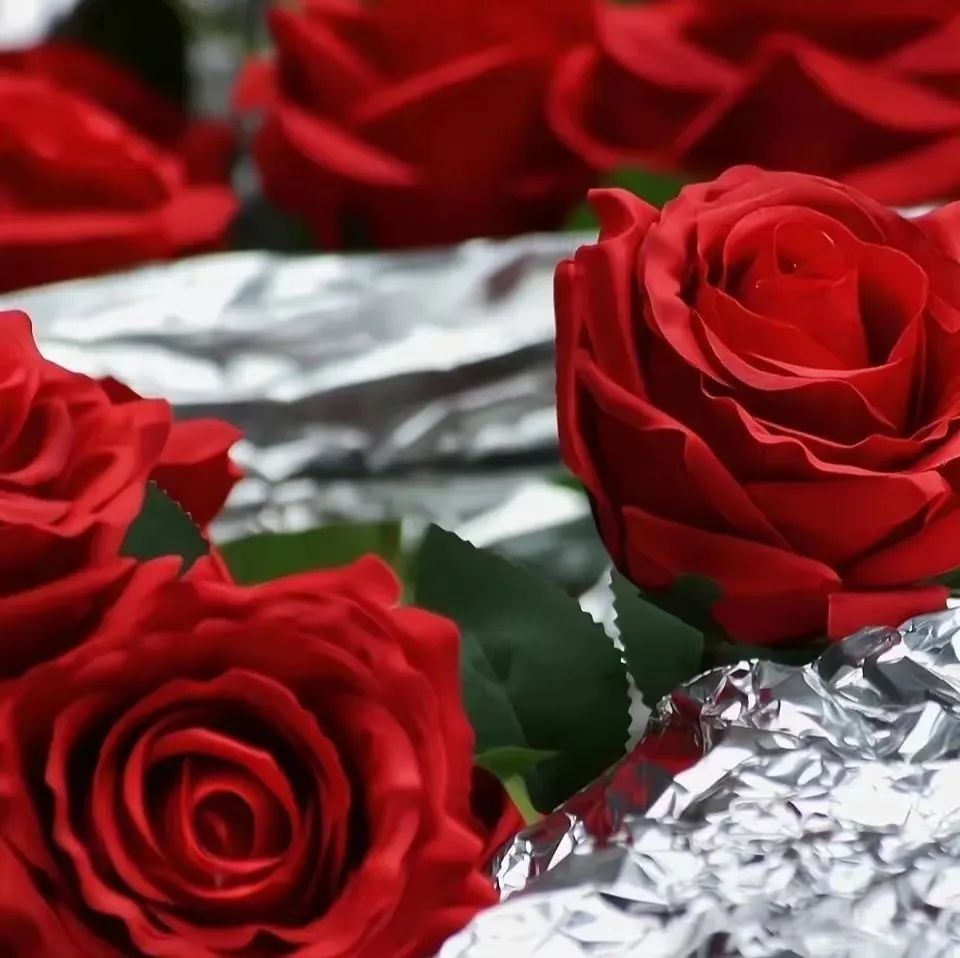 韩国小众女明星氛围感图片,氛围感微信背景图高级感