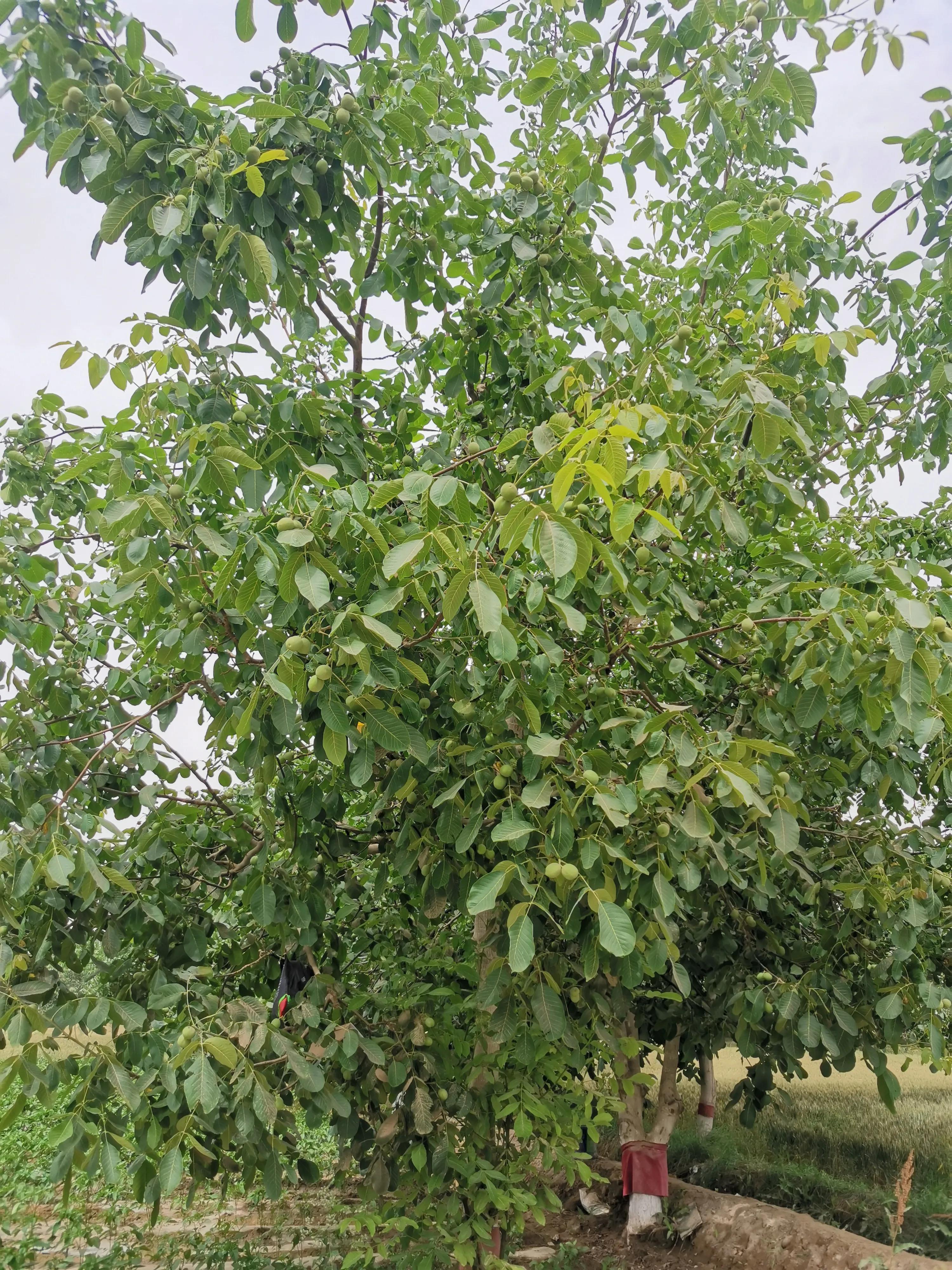 和田市骑行路线,骑行乡间田野