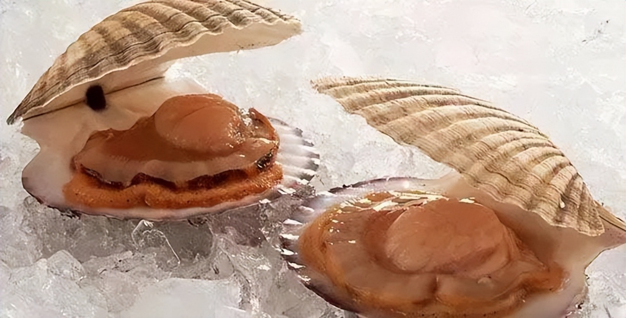 澳洲海鲜干货大全,澳洲精品海鲜