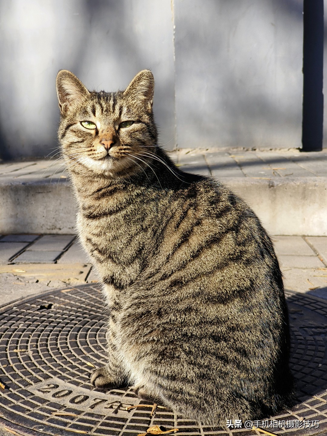 vivoX90Pro+亮点介绍,vivox90pro使用感受最新