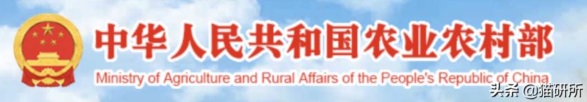 不开刀绝育手术,不打针不手术怎么让母猫绝育