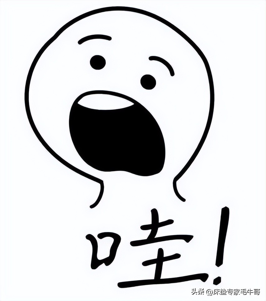 林氏床垫和席梦思床垫哪个好,4000的席梦思床垫什么档次