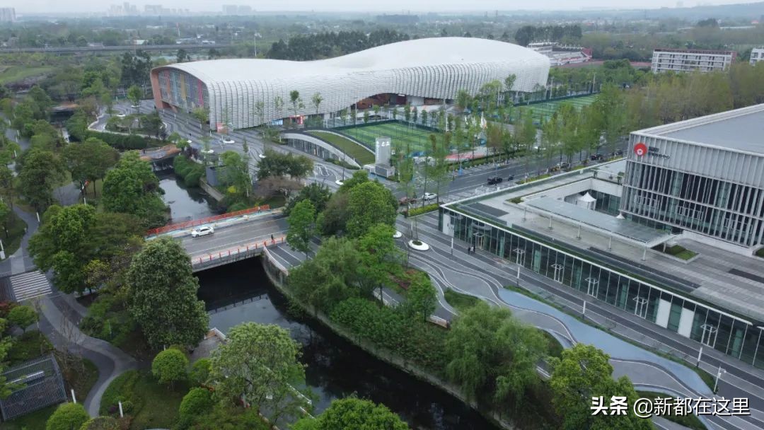 如果城市有颜色重庆,如果城市有颜色作文