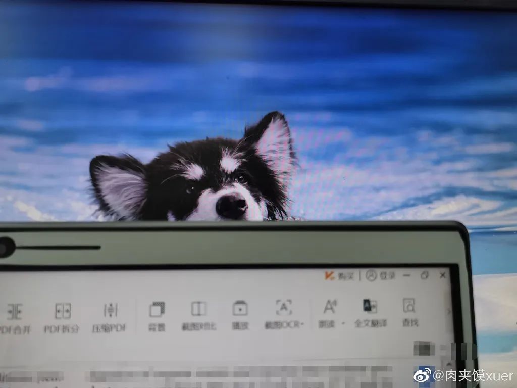 何老师抱狗撒尿，三石弟弟跳舞洗狗…这些破图我看一次笑一次哈哈