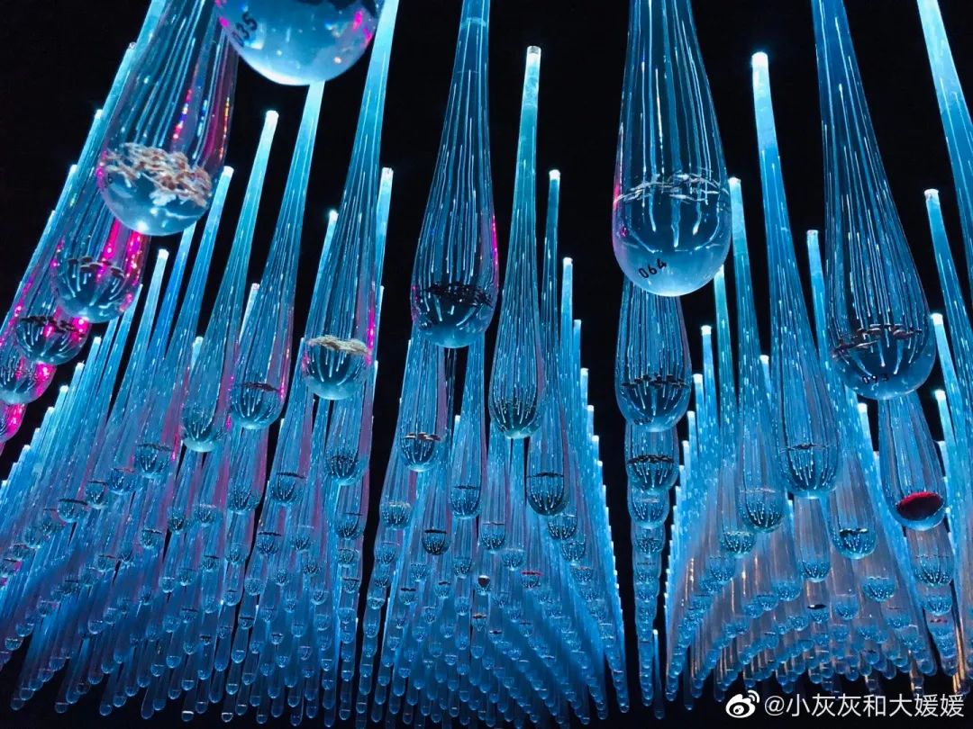 北京植物园的赏花的最好时节,西山秘境惊艳北京的植物