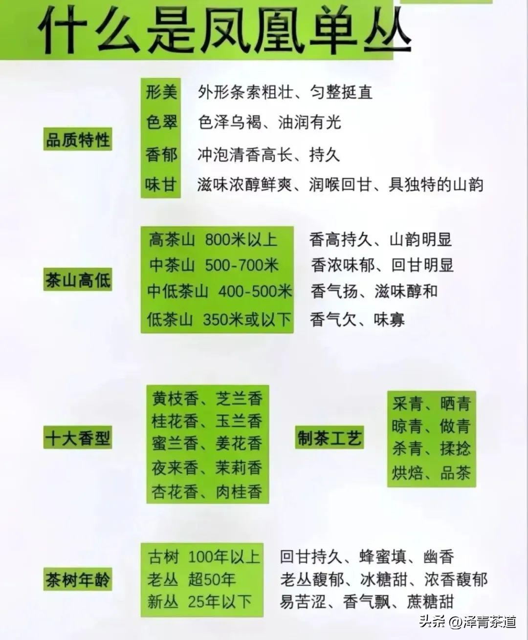 了解一下凤凰单丛,了解凤凰单丛