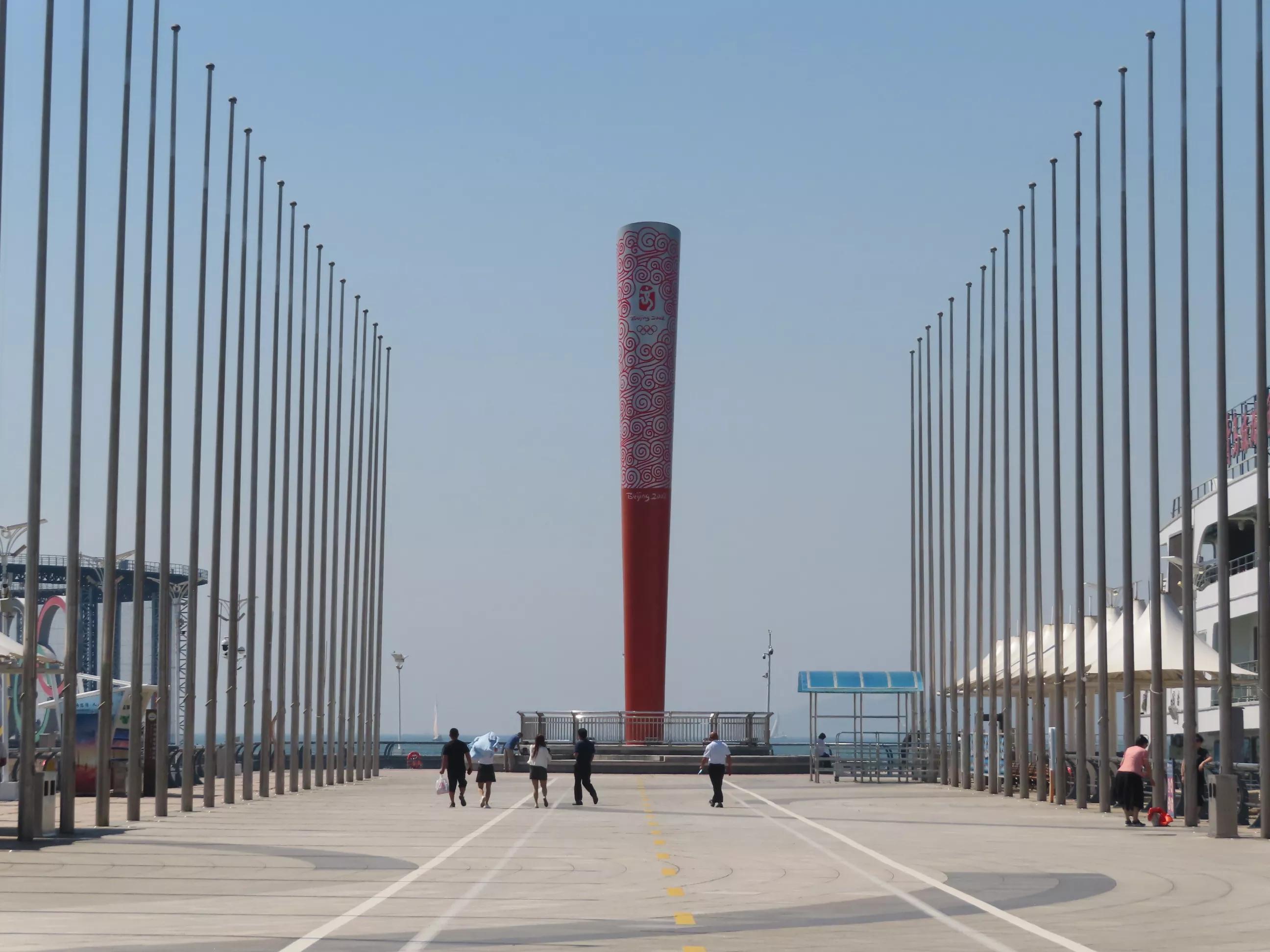 青岛的海,青岛的海鸥