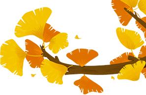 今日秋分语录,今日秋分的经典句子