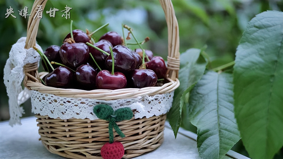 乡村振兴返乡创业宜居宜业,返乡创业青年为乡村振兴添砖加瓦