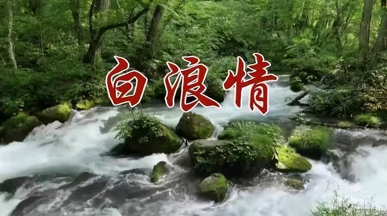 白浪情企业家群2022表彰荣誉证书