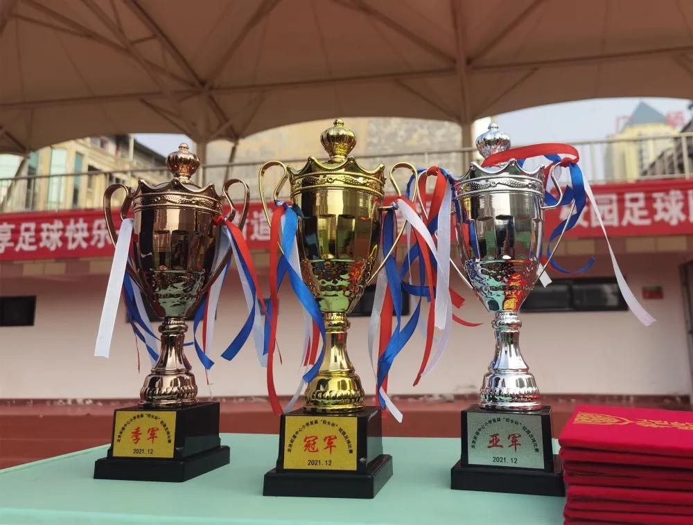 滕州龙泉街道中心小学足球队,龙泉市2019年中小学足球比赛