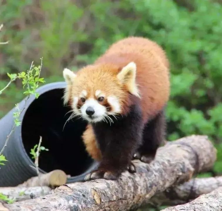 西安旅游学生攻略,西安旅游攻略详细学生