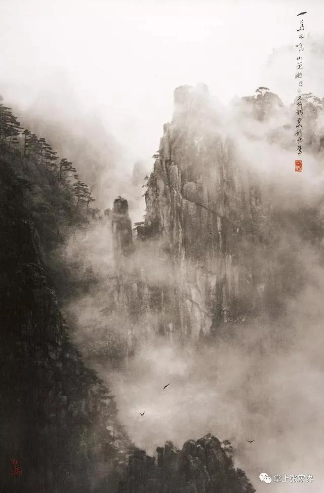 仙境张家界惊艳全世界,张家界的峰林峡谷仙境