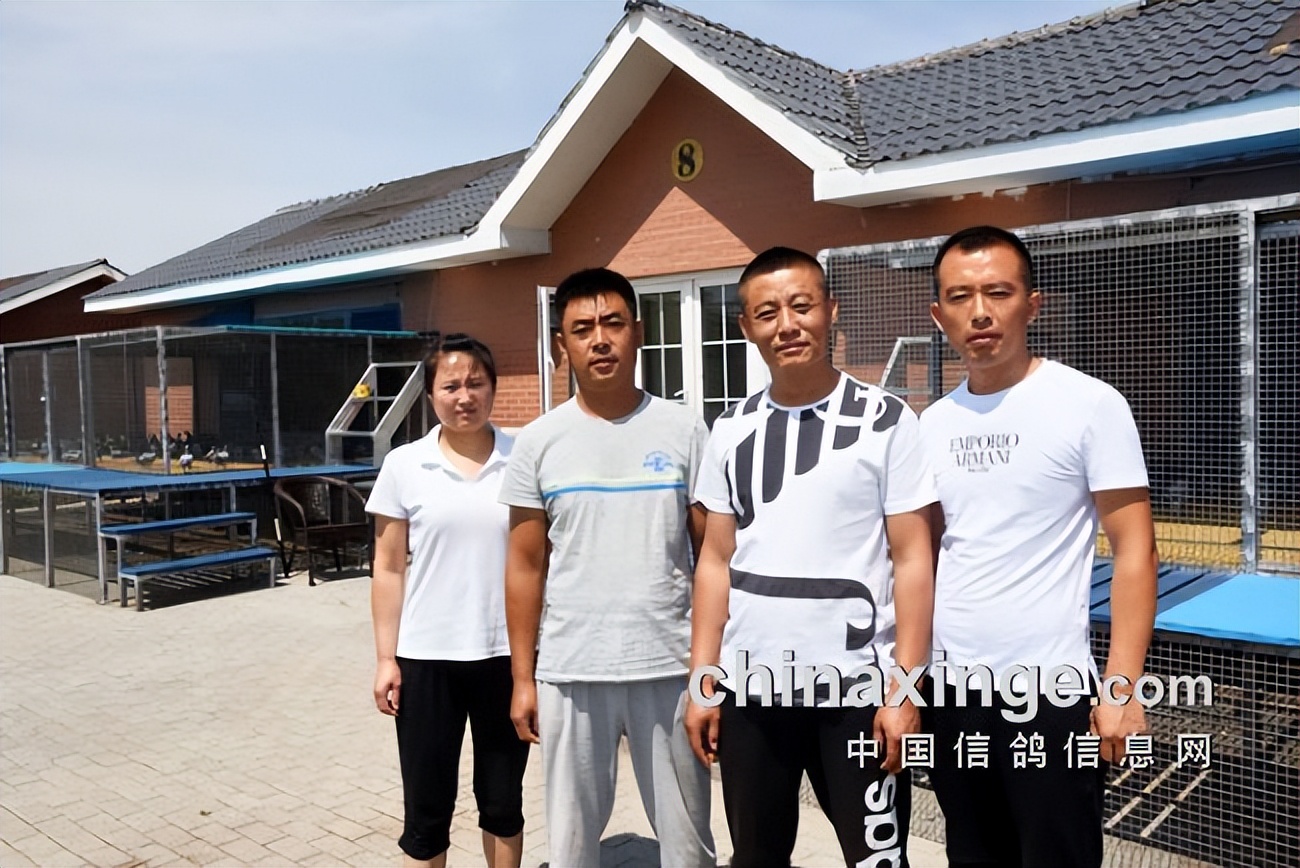 开创者教练何贵：赛鸽贵在坚持