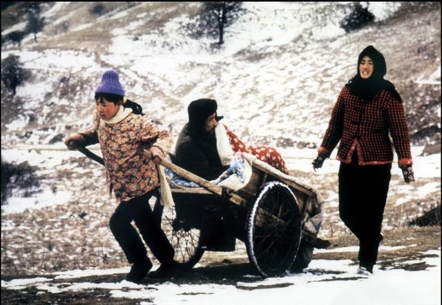 《秋菊打官司》：村长踢了男人的命根，妻子秋菊一级级上告