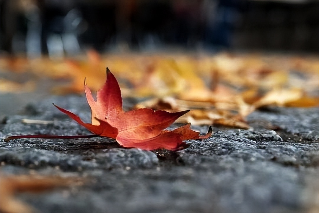 “是人是鬼，一看便知”，看清一个人，无需日久，三招识破