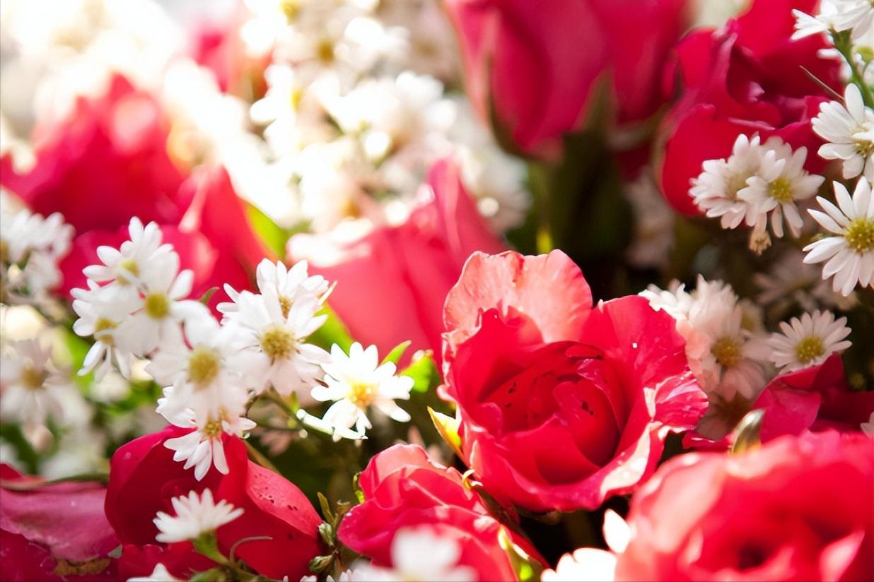 女性*处私**的润滑液是如何产生的?如何改善*处私**干燥?医生告诉你