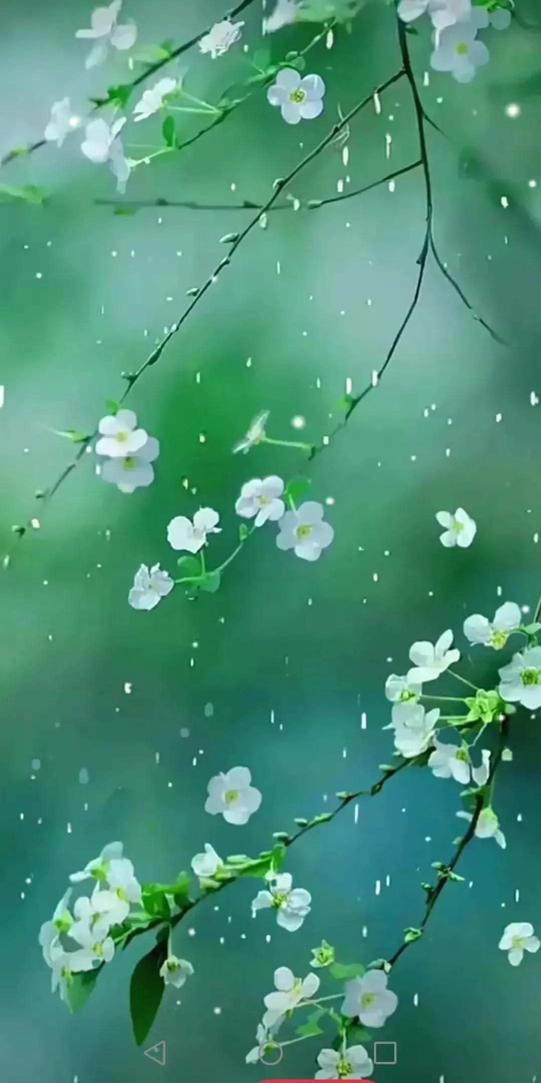 唯美手机壁纸高级感,唯美手机壁纸高清全面屏