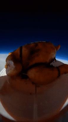 鸡蛋从100米高空落下怎样,鸡蛋怎样从高空中掉下来不碎