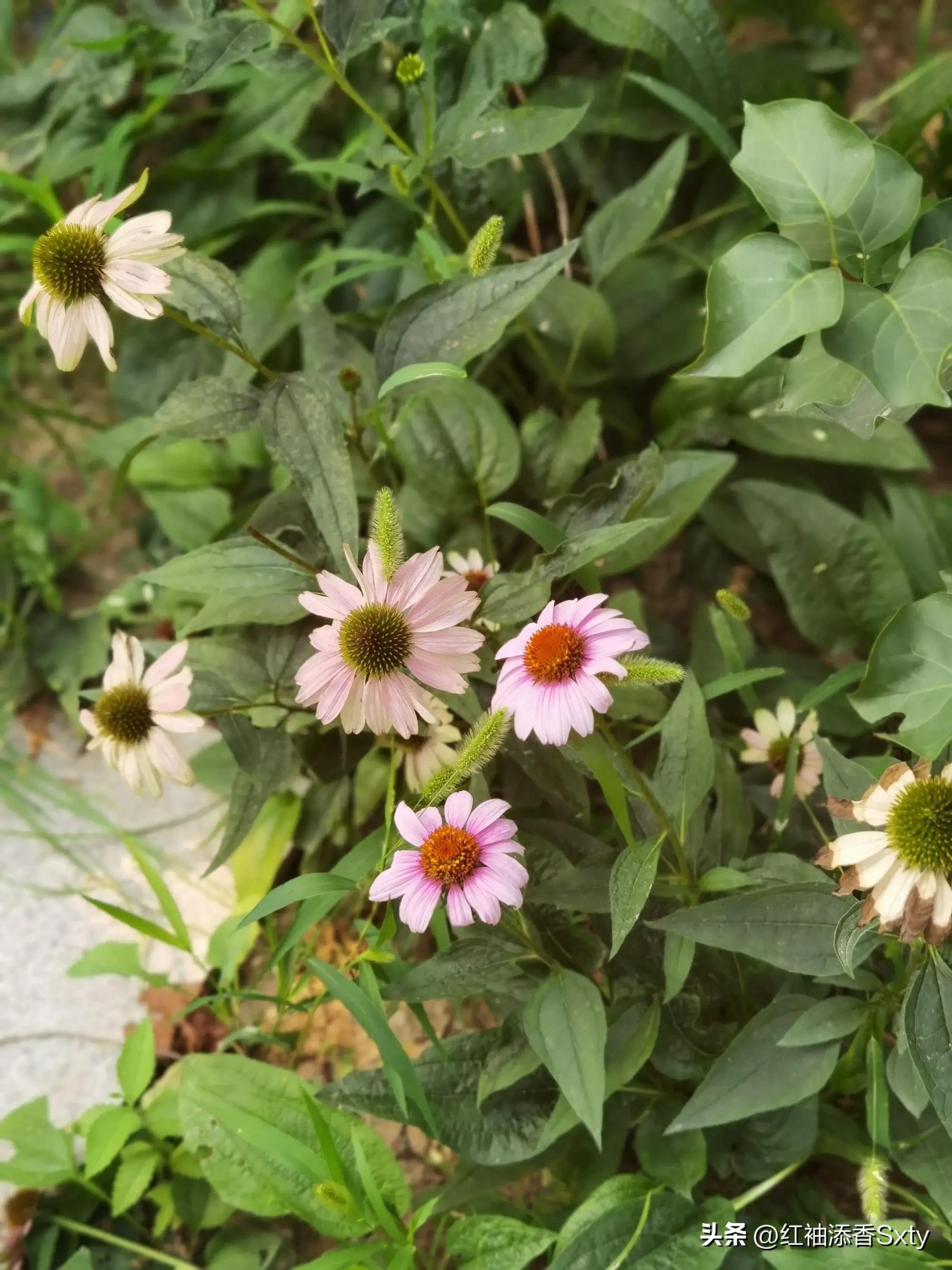 北京胡同一日游最佳攻略遛娃,北京胡同一日游攻略自由行