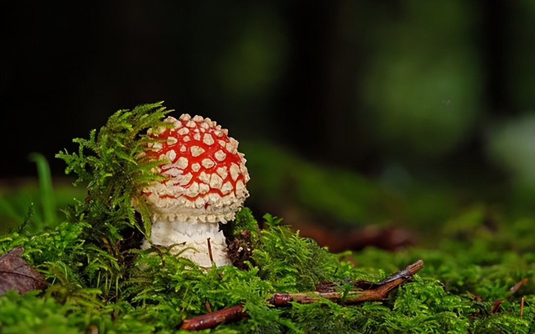 不要让4种人来你家串门,三种人不能随便去别人家串门