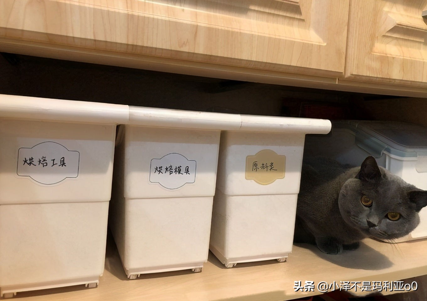 收纳原来如此简单!这20件家居收纳好物帮你搞定全屋收纳