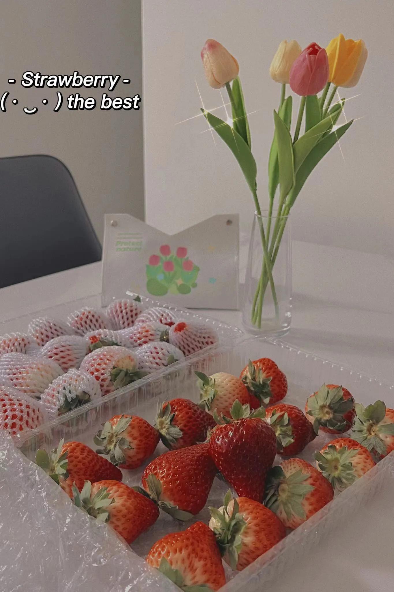 一斤丹东99草莓有多少个,丹东99草莓适合哪里种