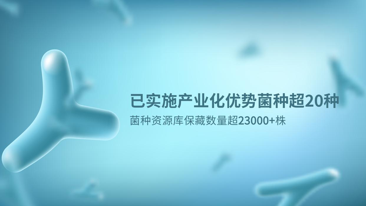 益生菌菌株的作用及功能,各种益生菌菌株的作用明细