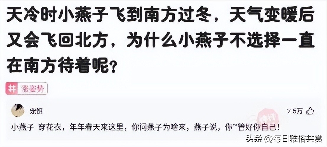 【盐选神回复】爱了爱了