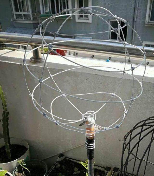 女朋友教你怎么把一根“草”,养成一株“雪女权杖”,美得窒息