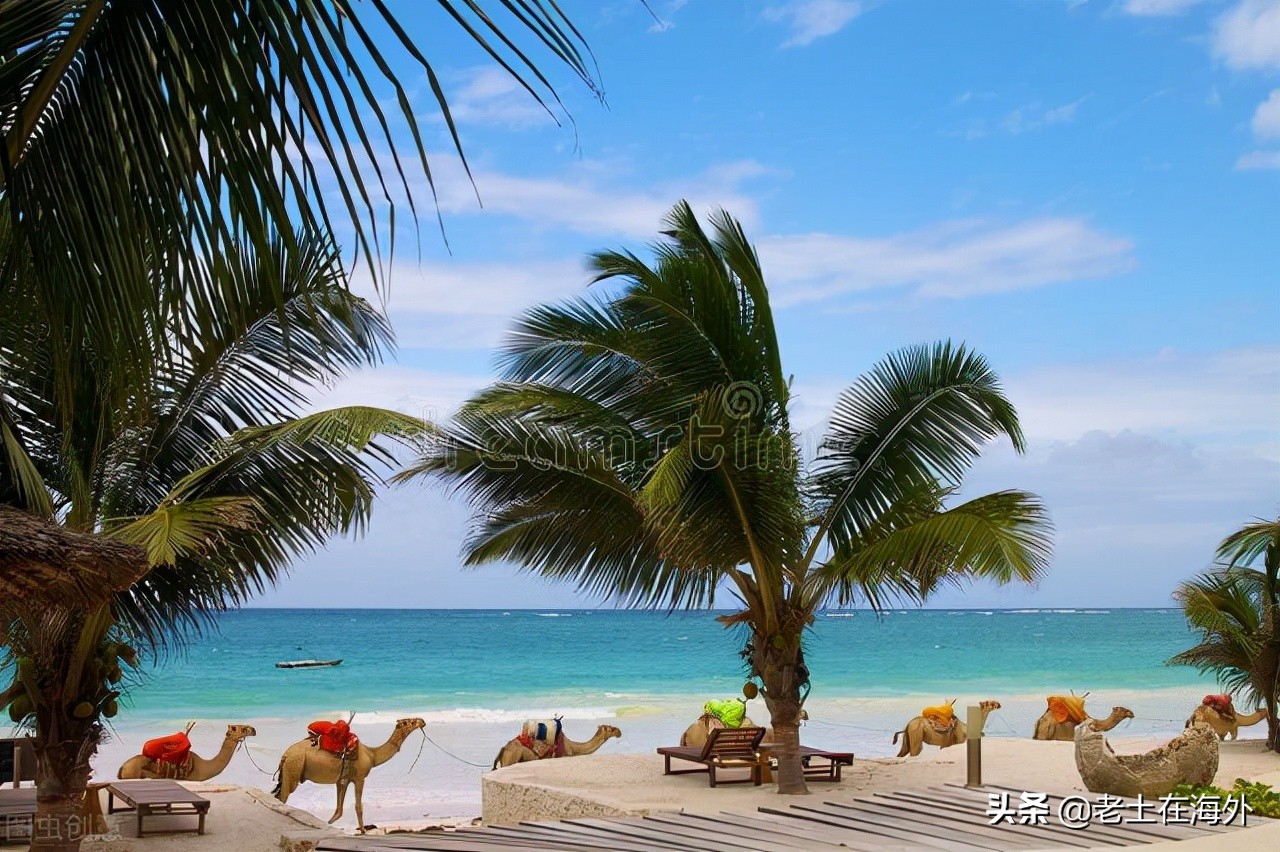 肯尼亚是一个怎么样的国家，带你了解真实的肯尼亚