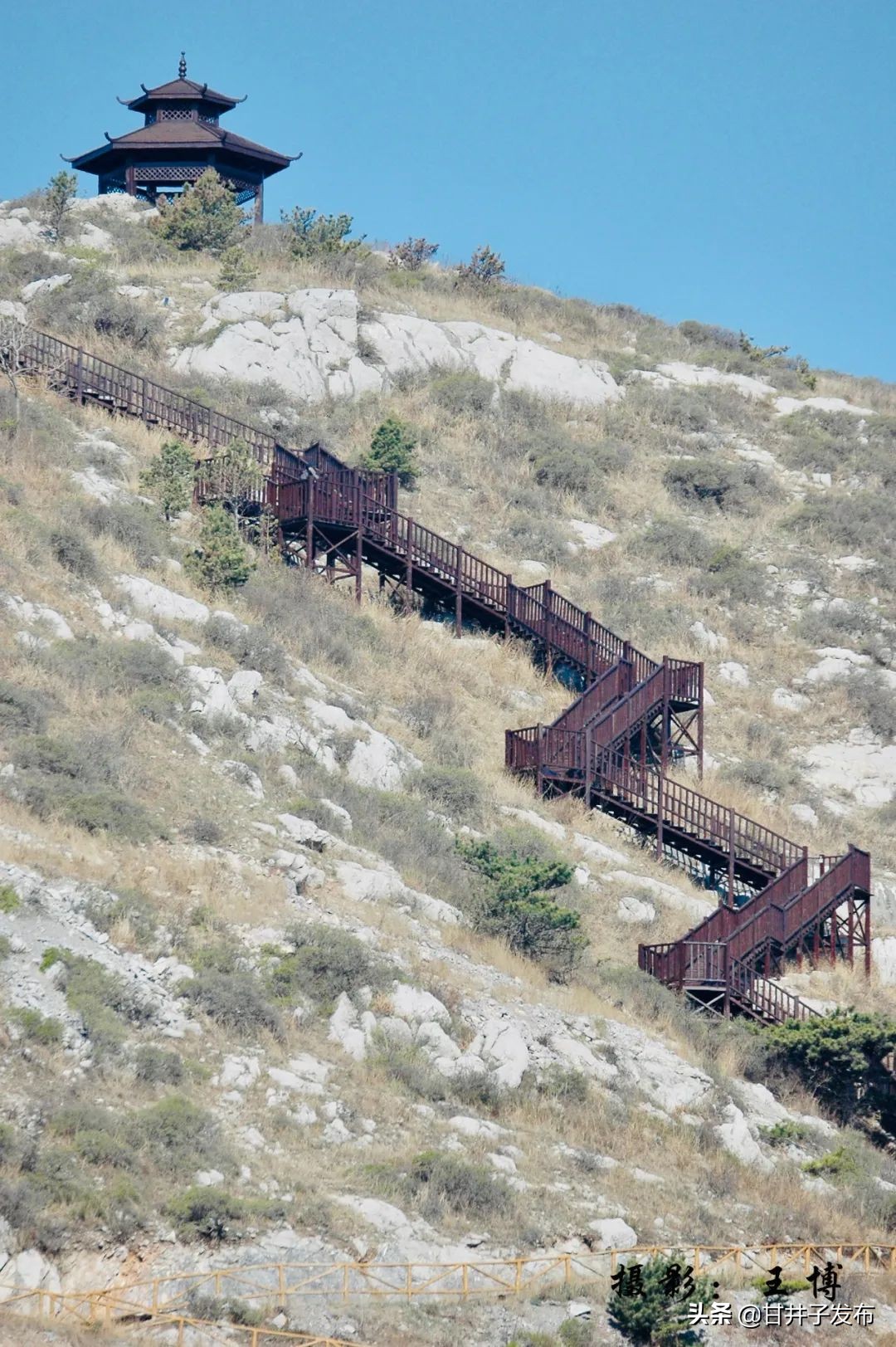 甘井子踏青,大连甘井子踏青好去处